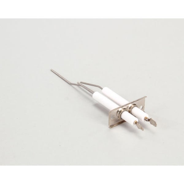 Dsi Electrode Assembly